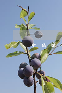 中信逾期還款之后鎖卡(中信信用卡被鎖)