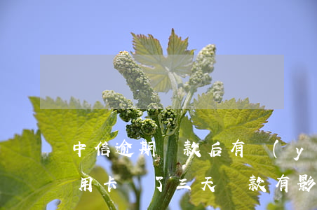 中信逾期還款后有優(yōu)惠嗎(中信信用卡過了三天還款有影響嗎)
