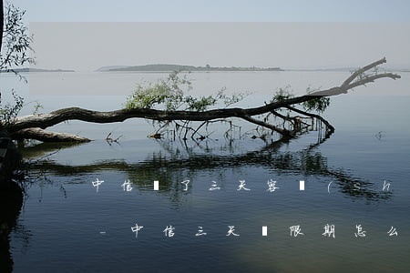 中信過了三天容時(shí)期是不是逾期-中信三天寬限期怎么算