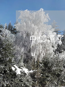中信還了款為什么發(fā)短信說(shuō)逾期-中信還了款為什么發(fā)短信說(shuō)逾期呢
