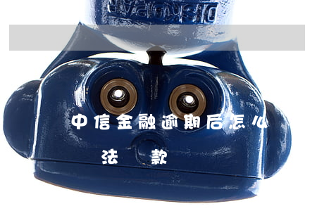 中信金融逾期后怎么還款(中信信秒貸還款后無法貸款)