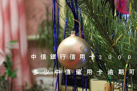 中信銀行信用卡30000逾期半年需要還多少（中信信用卡逾期可以還最低嗎）