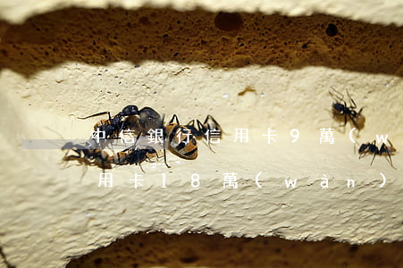 中信銀行信用卡9萬(wàn)不還(中信信用卡18萬(wàn)三個(gè)月沒(méi)還)