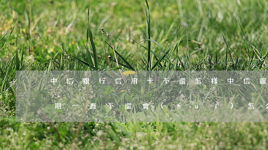 中信銀行信用卡不還怎樣(中信銀行信用卡逾期一直不還會(huì)怎么樣)