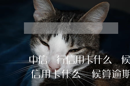 中信銀行信用卡什么時候算逾期-中信銀行信用卡什么時候算逾期的