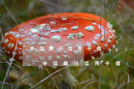 中信銀行信用卡個(gè)性化分期好辦理-中信銀行信用卡個(gè)性化分期好辦理嗎