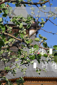中信銀行信用卡協(xié)商部門-中信銀行信用卡協(xié)商部門工作時間