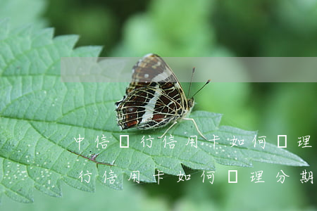 中信銀行信用卡如何辦理分期還款-中信銀行信用卡如何辦理分期還款業(yè)務