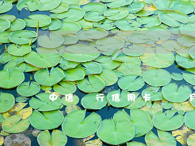 中信銀行信用卡幾個月不還