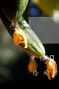 中信銀行信用卡晚一天算逾期嗎-中信銀行信用卡晚一天算逾期嗎怎么辦