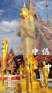 中信銀行信用卡有逾期怎么協(xié)商-中信銀行信用卡有逾期怎么協(xié)商還款