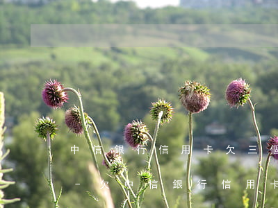 中信銀行信用卡欠三個(gè)月要起訴我-欠中信銀行信用卡三千他說起訴我怎么辦