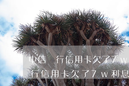 中信銀行信用卡欠了7w利息多少-中信銀行信用卡欠了7w利息多少錢