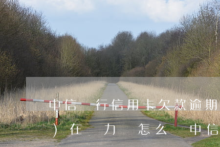 中信銀行信用卡欠款逾期十萬,現(xiàn)在無力還怎么辦（中信銀行信用卡欠款逾期）