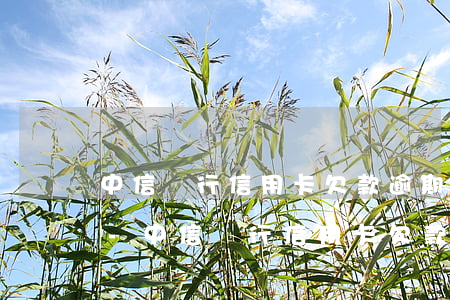 中信銀行信用卡欠款逾期說報(bào)案-中信銀行信用卡欠款逾期說報(bào)案是真的嗎
