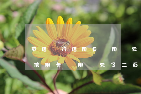 中信銀行信用卡沒用卻欠了二百-中信銀行信用卡沒用卻欠了二百塊錢