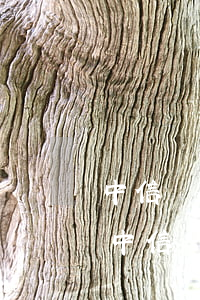 中信銀行信用卡發(fā)來短信通知逾期（中信銀行信用卡發(fā)來短信通知逾期）
