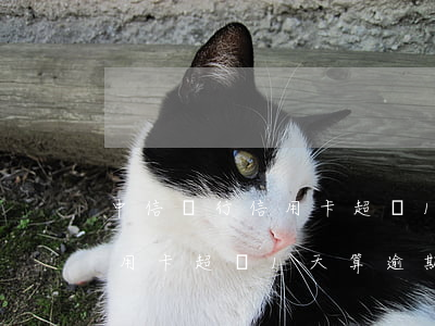 中信銀行信用卡超過1天算逾期(中信銀行信用卡超過1天算逾期嘛)