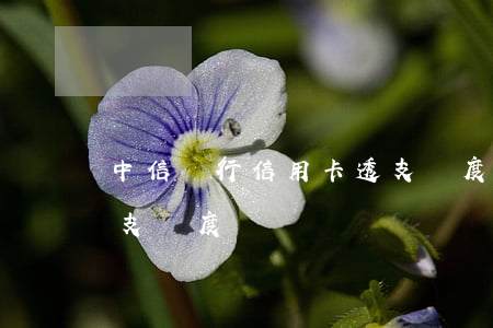中信銀行信用卡透支額度(中信銀行信用卡透支額度)