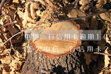 中信銀行信用卡逾期10天還進(jìn)去(欠中信銀行信用卡2萬多逾期三個(gè)月了怎么辦)
