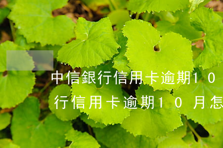 中信銀行信用卡逾期10月怎么辦-中信銀行信用卡逾期10月怎么辦理