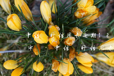 中信銀行信用卡逾期12萬會(huì)坐牢嗎-中信銀行信用卡逾期12萬會(huì)坐牢嗎知乎