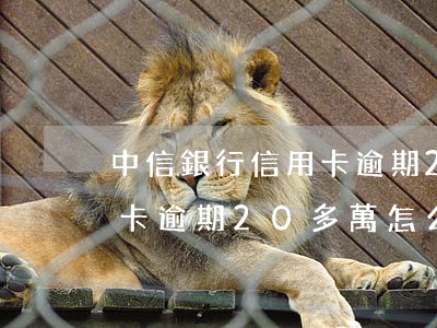中信銀行信用卡逾期20多萬(中信銀行信用卡逾期20多萬怎么辦)