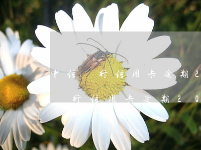 中信銀行信用卡逾期20萬怎么處理-中信銀行信用卡逾期20萬怎么處理的