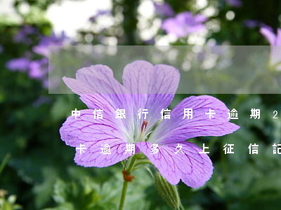 中信銀行信用卡逾期2100(中信銀行信用卡逾期多久上征信記錄)