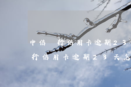 中信銀行信用卡逾期23天怎么辦-中信銀行信用卡逾期23天怎么辦理