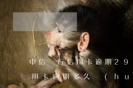 中信銀行信用卡逾期2900-中信銀行信用卡逾期多久會(huì)被走司法程序