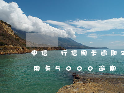 中信銀行信用卡逾期2個月后果(中信銀行信用卡5000逾期兩年)