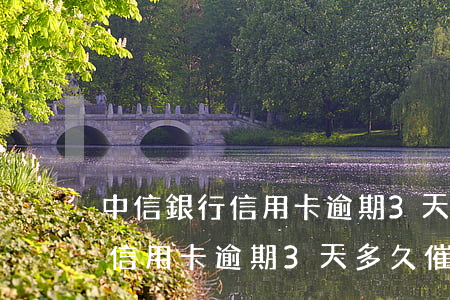 中信銀行信用卡逾期3天多久催款(中信銀行信用卡逾期3天多久催款成功)