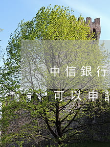 中信銀行信用卡逾期3年減免分期(中信銀行可以申請利息減免分期嗎)