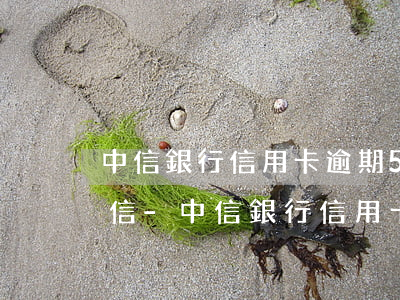 中信銀行信用卡逾期5天沒(méi)上征信-中信銀行信用卡逾期5天沒(méi)上征信怎么辦
