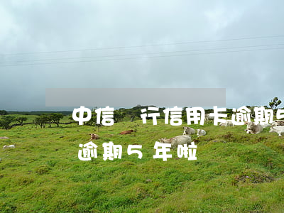 中信銀行信用卡逾期5年啦(中信銀行信用卡逾期5年啦)