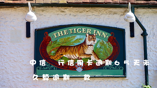 中信銀行信用卡逾期65天未還款(信用卡多久算逾期還款)