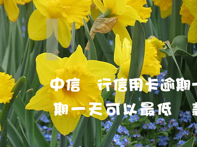 中信銀行信用卡逾期一天(中信銀行信用卡逾期一天可以最低還款嗎)