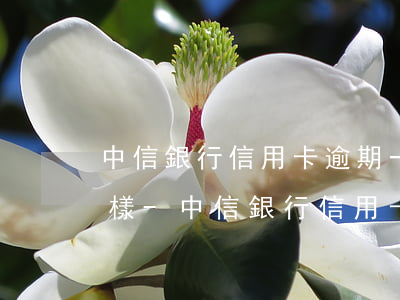 中信銀行信用卡逾期一天會(huì)怎么樣-中信銀行信用卡逾期一天會(huì)怎么樣嗎