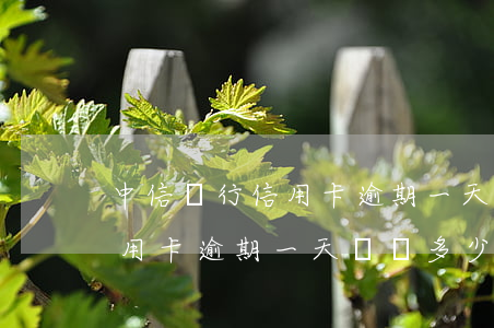 中信銀行信用卡逾期一天歸還-中信銀行信用卡逾期一天歸還多少