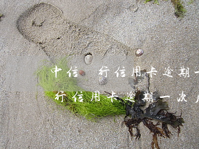 中信銀行信用卡逾期一次后的影響-中信銀行信用卡逾期一次后的影響有哪些