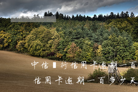 中信銀行信用卡逾期一百多少天-中信銀行信用卡逾期一百多少天會(huì)起訴