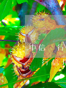中信銀行信用卡逾期一萬(wàn)多(中信銀行信用卡逾期一萬(wàn)多久會(huì)被起訴)