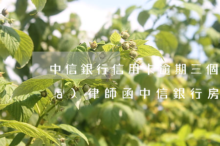 中信銀行信用卡逾期三個(gè)月發(fā)律師函(中信銀行房貸逾期收到律師函怎么處理)