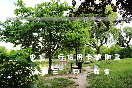 中信銀行信用卡逾期三個怎么辦-中信銀行逾期三個月讓我全額還款怎么辦
