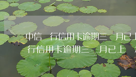 中信銀行信用卡逾期三個月已上訴-中信銀行信用卡逾期三個月已上訴怎么辦