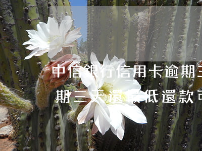 中信銀行信用卡逾期三天(中信銀行信用卡逾期三天還最低還款可以嗎)