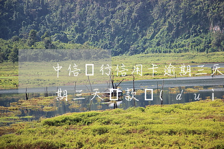 中信銀行信用卡逾期三天有影響(中信銀行逾期三天還款對(duì)信用有影響嗎)