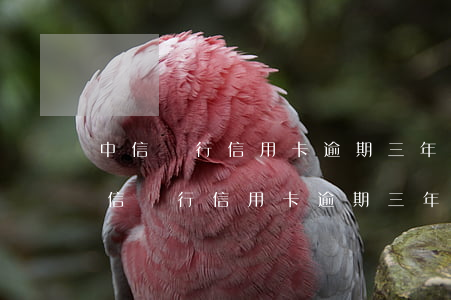 中信銀行信用卡逾期三年還可以起訴嗎-中信銀行信用卡逾期三年還可以起訴嗎