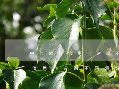 中信銀行信用卡逾期不同意分期-中信銀行信用卡逾期不同意分期怎么辦